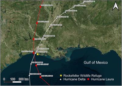 Impacts of Coastal Infrastructure on Shoreline Response to Major Hurricanes in Southwest Louisiana